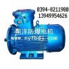 YB2系列防爆電機