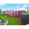 廠家供應(yīng)環(huán)保型（建造停車場(chǎng)）高強(qiáng)加筋排水板