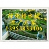 綠化排水板，樓頂花園綠化排水板，塑料排水板廠家