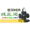 進口調節閥-德國KER進口單座調節閥-上海樹典總代理