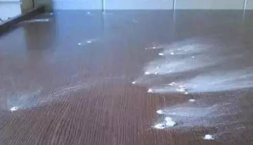 木地板生蟲該如何解決？就一定是地板的錯嗎？