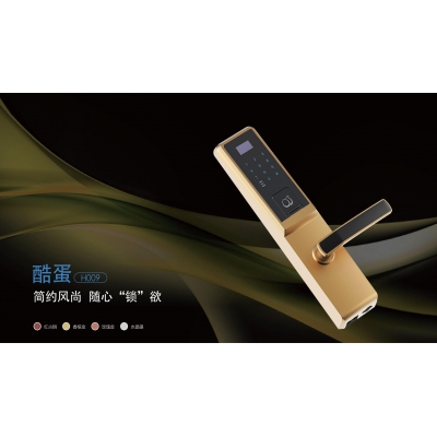 智能鎖|指紋鎖|密碼鎖|玻璃門鎖|酒店門鎖|物聯網鎖|云鎖