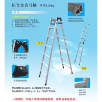 直馬梯
