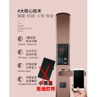 9C智能鎖指紋門鎖批發拿樣