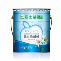 中國十大工程涂料