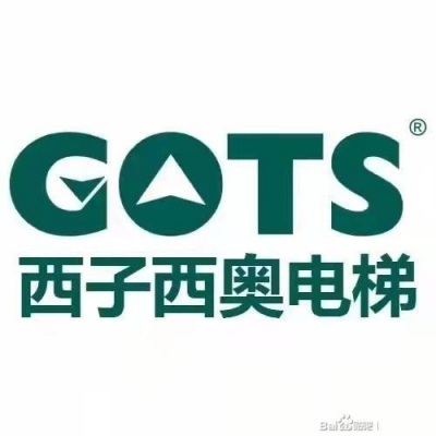 山東電梯廠家別墅電梯觀光電梯載客電梯自動(dòng)扶梯臺(tái)階式電梯
