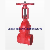 上海興麥隆 FG81X溝槽式明桿閘閥 用于自來水、污水