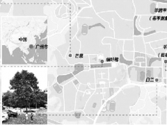 ENVI-met 喬木模型對亞熱帶濕熱地區(qū)四種常用喬木的模擬驗證