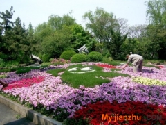 花壇效果圖2017款 花壇有哪些不同的類型