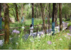 深圳南山區僑城北公園 | 文科股份