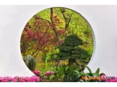 探索園林景觀設計：植物配置的美學與實踐原則