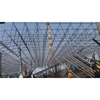陜西商洛市網架公司-商洛市網架加工廠-商洛市螺栓球網架公司