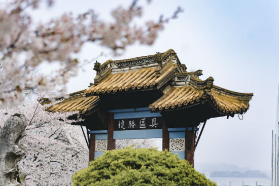 淮安專升本哪個培訓(xùn)機(jī)構(gòu)好？靠譜嗎？