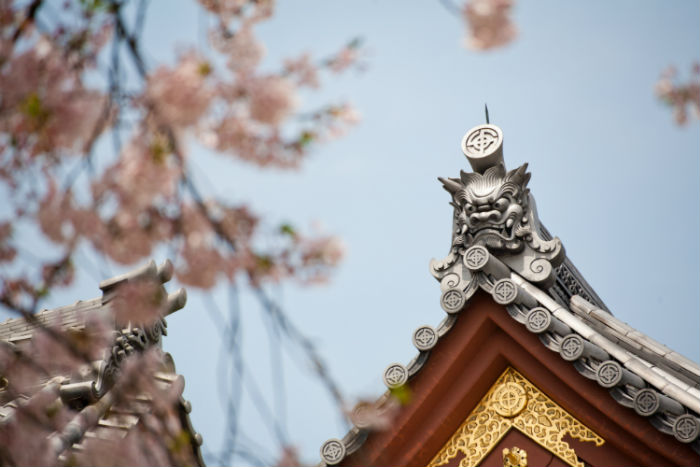 平頂山提升學(xué)歷方式哪種好？學(xué)歷提升招生學(xué)校有多少？