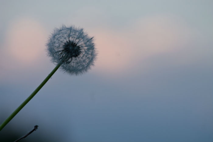 在嘉興專升本什么時(shí)候能報(bào)名和在哪兒報(bào)名比較靠譜？