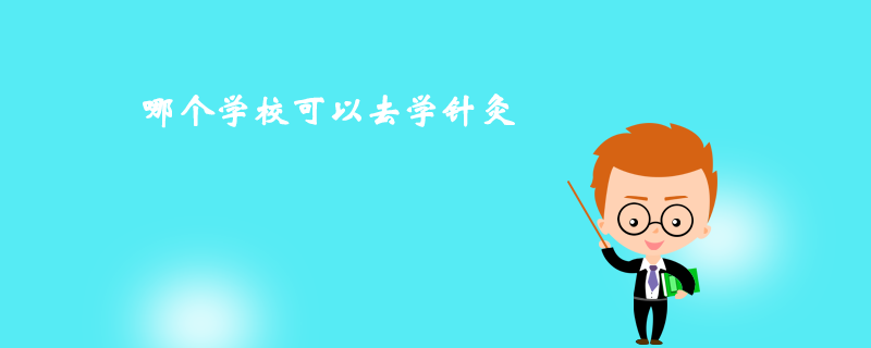 那個學?？梢匀W針灸