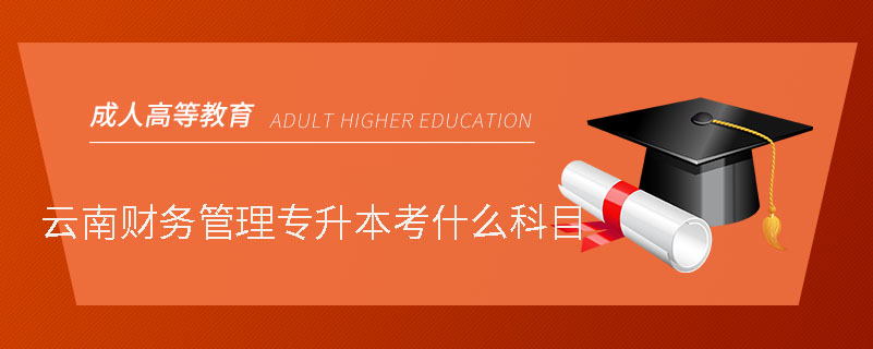 云南財務(wù)管理專升本考什么科目