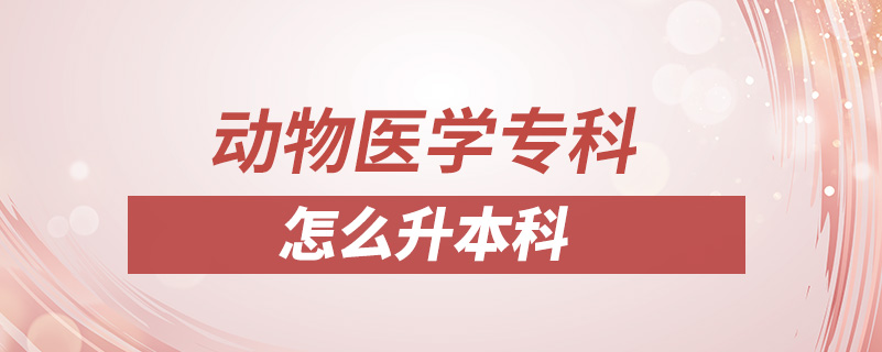動物醫(yī)學?？圃趺瓷究? /></p><p style=