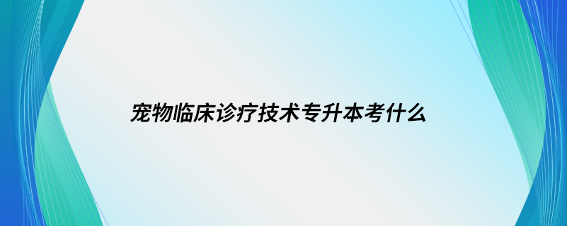 寵物臨床診療技術(shù)專(zhuān)升本考什么