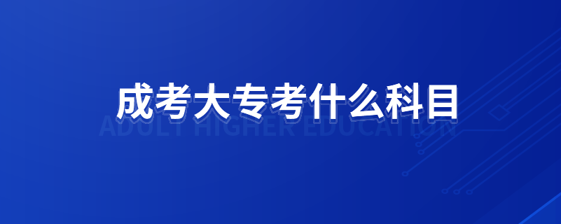 成考大?？际裁纯颇? /></p><p style=