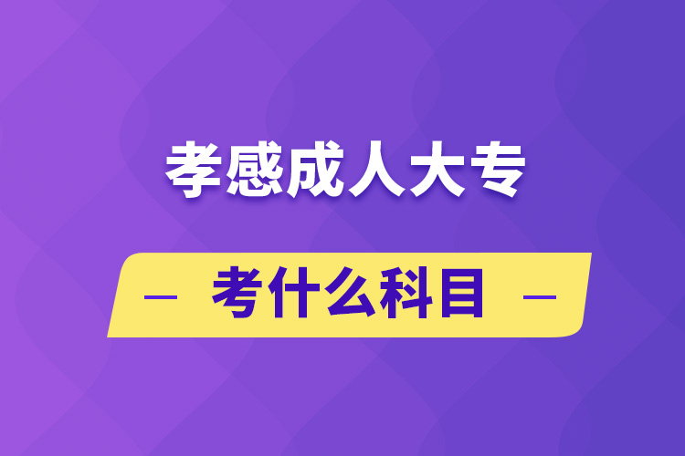 孝感成人大?？际裁纯颇? /></p><p style=