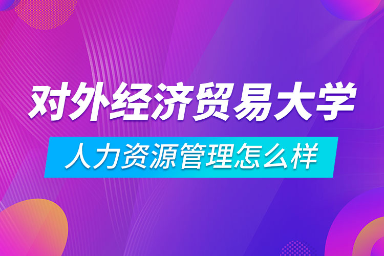 對外經(jīng)濟貿(mào)易大學(xué)人力資源管理專業(yè)怎么樣