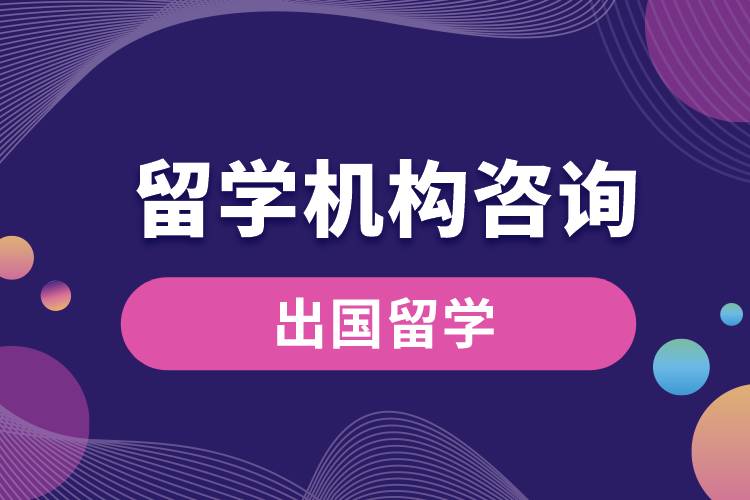 留學(xué)機(jī)構(gòu)咨詢.jpg