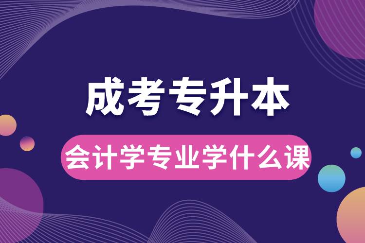 成考專升本會(huì)計(jì)學(xué)專業(yè)學(xué)什么課.jpg