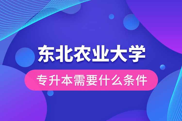 東北農(nóng)業(yè)大學(xué)專升本需要什么條件？