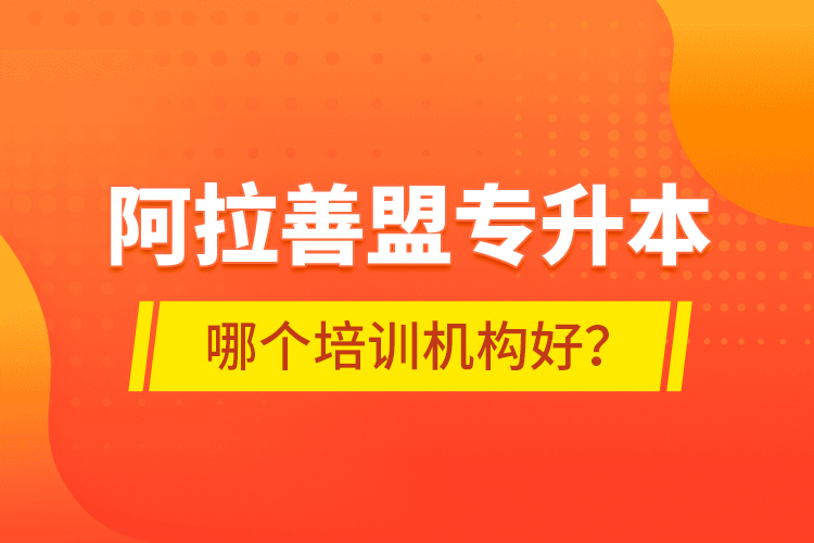 阿拉善盟專升本哪個(gè)培訓(xùn)機(jī)構(gòu)好？