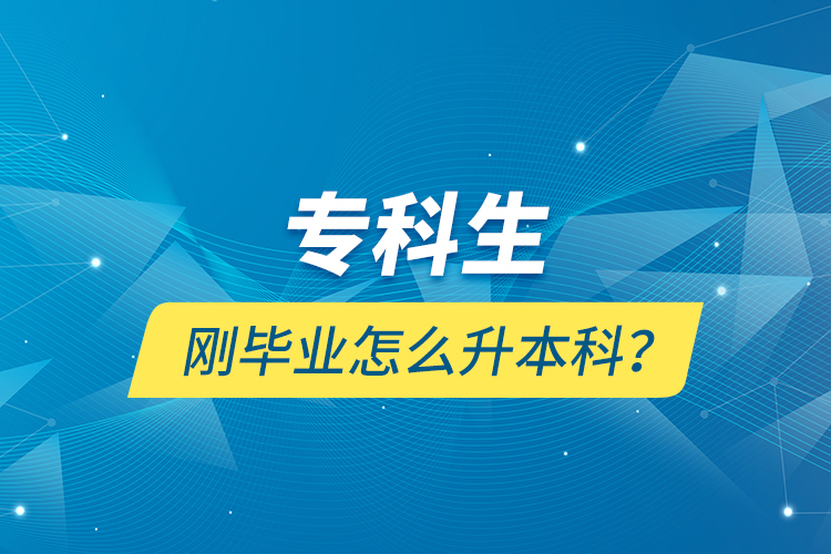 專科生剛畢業(yè)怎么升本科？