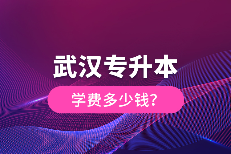 武漢專升本學費多少錢？