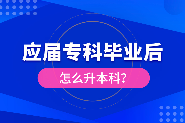 應(yīng)屆?？飘厴I(yè)后怎么升本科？