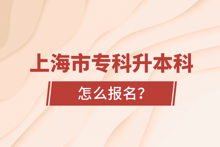 上海市?？粕究圃趺磮?bào)名？