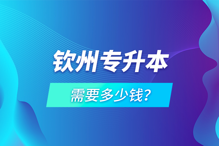 欽州專升本需要多少錢？