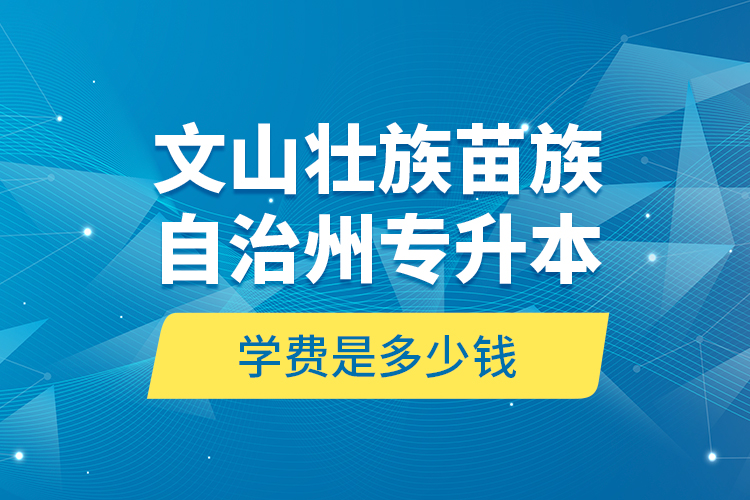 文山壯族苗族自治州專升本學(xué)費(fèi)是多少錢？