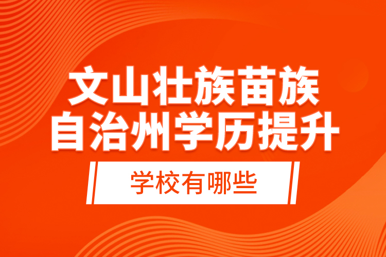 文山壯族苗族自治州學(xué)歷提升學(xué)校有哪些？