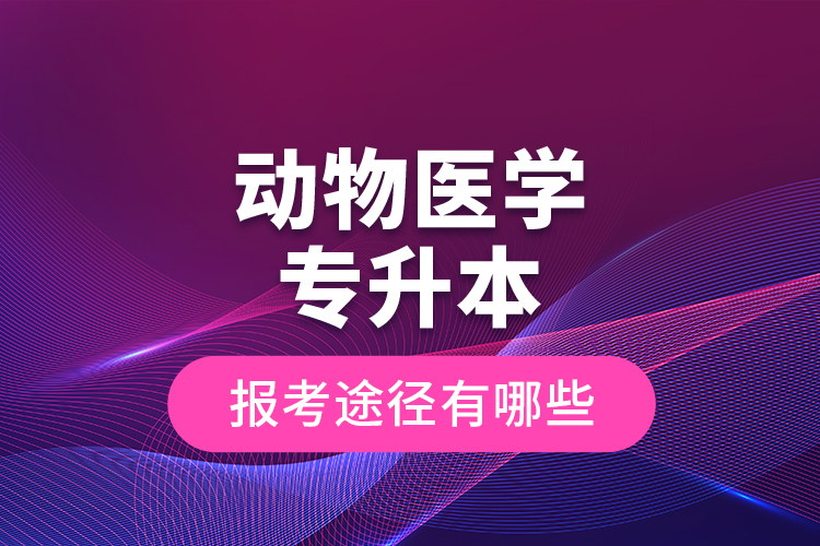 動物醫(yī)學(xué)專升本的報考途徑有哪些？