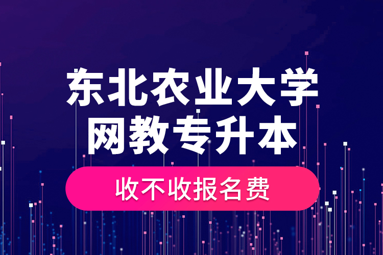 東北農(nóng)業(yè)大學(xué)網(wǎng)教專升本收不收報名費？
