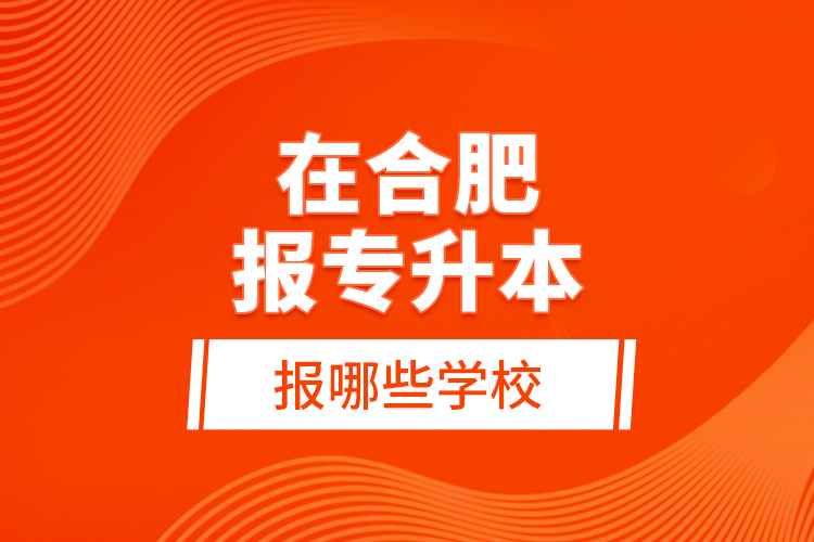 在合肥報(bào)專升本報(bào)哪些學(xué)校？