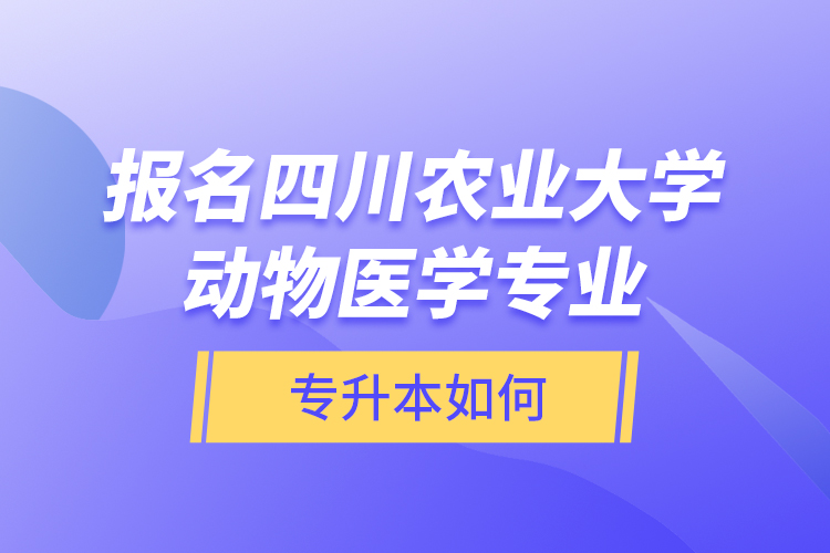 報(bào)名四川農(nóng)業(yè)大學(xué)動(dòng)物醫(yī)學(xué)專業(yè)專升本如何？