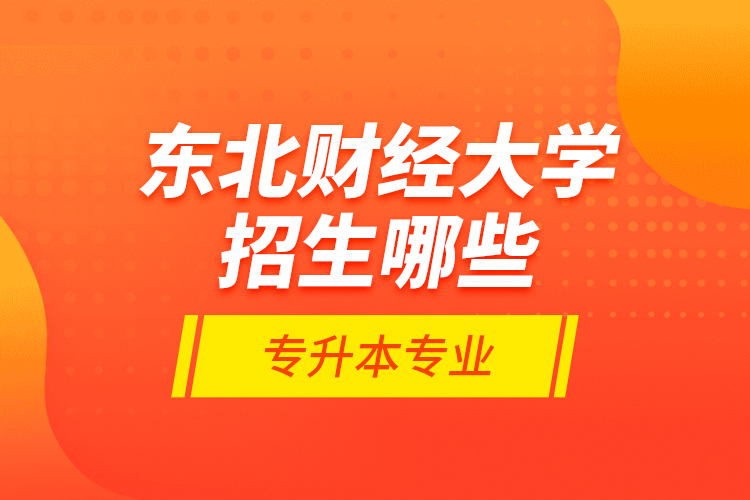 東北財經(jīng)大學招生哪些專升本專業(yè)？