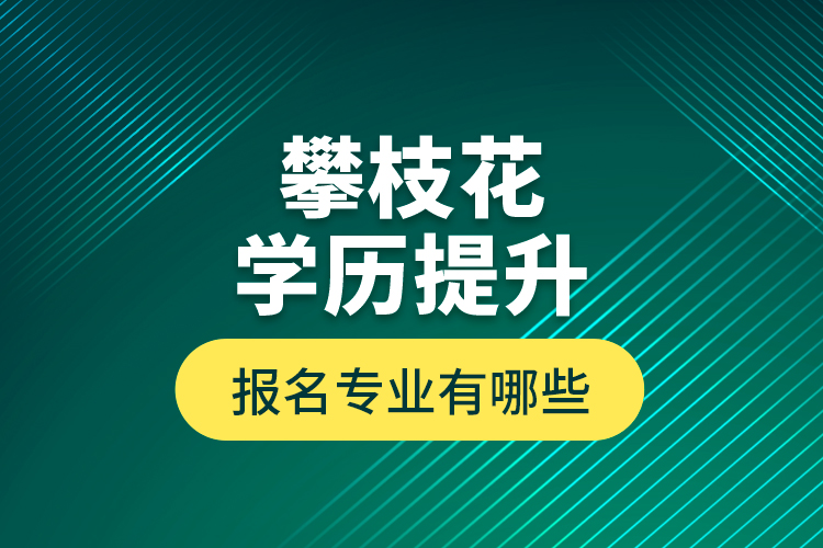 攀枝花學(xué)歷提升報(bào)名專(zhuān)業(yè)有哪些？